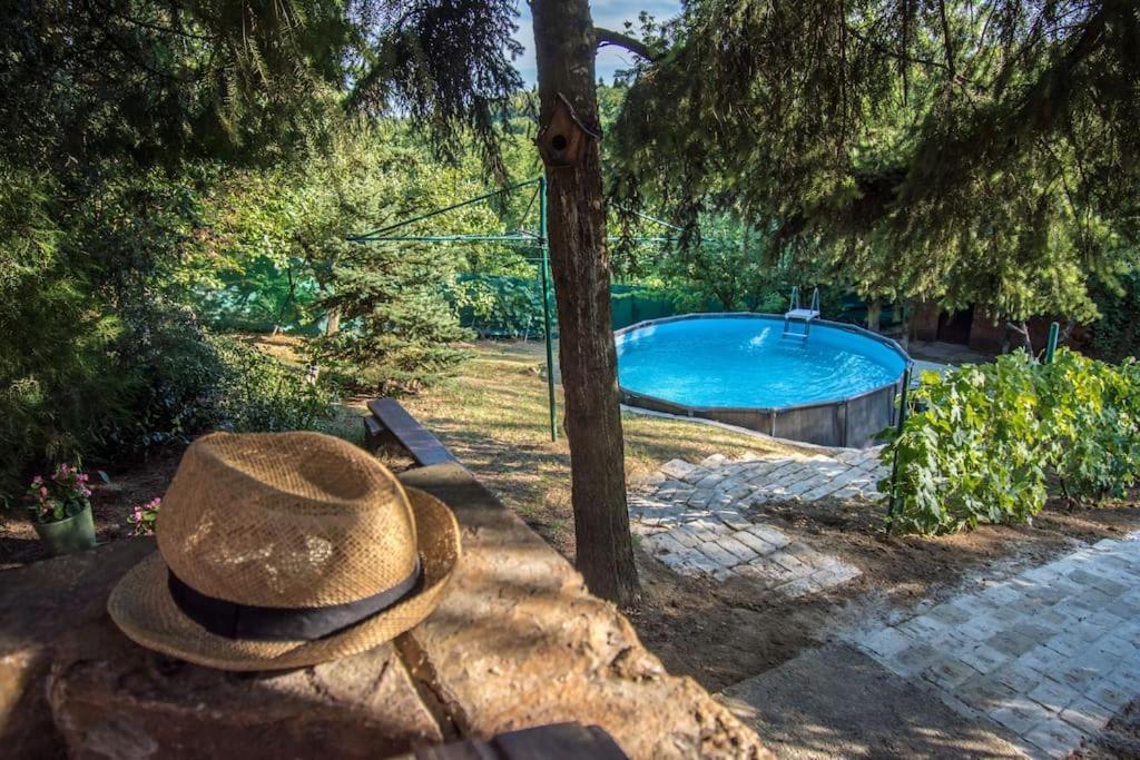 Villa Happy House Velika Remeta Esterno foto