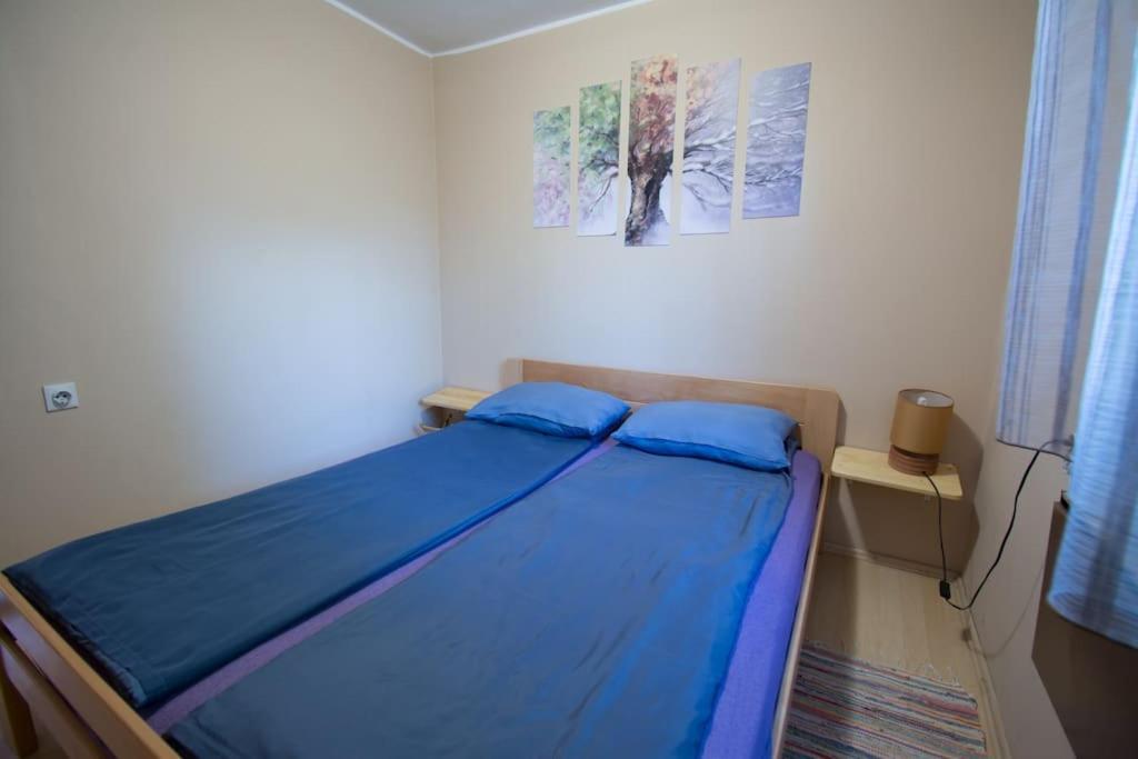 Villa Happy House Velika Remeta Esterno foto